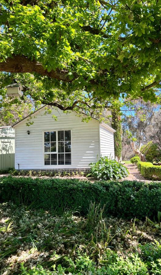 Yarck Birchwood Cottage מראה חיצוני תמונה
