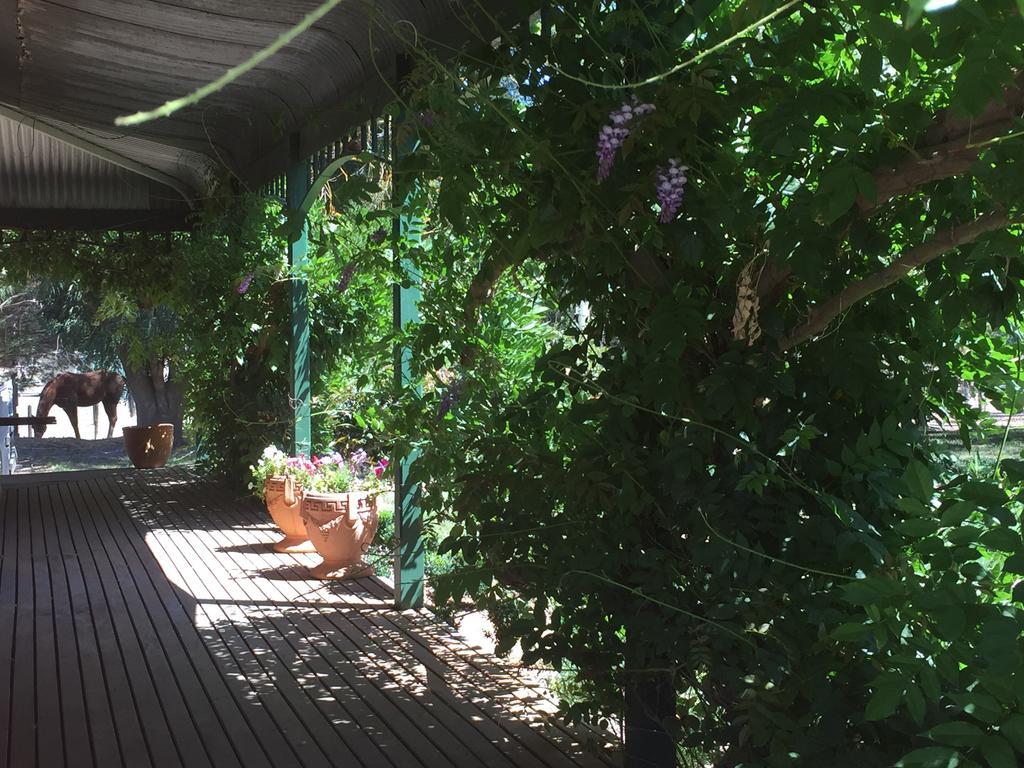 Yarck Birchwood Cottage מראה חיצוני תמונה