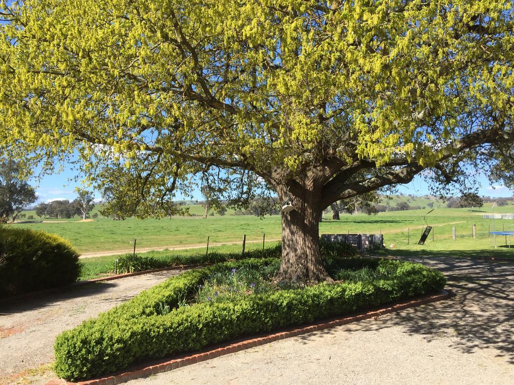 Yarck Birchwood Cottage מראה חיצוני תמונה