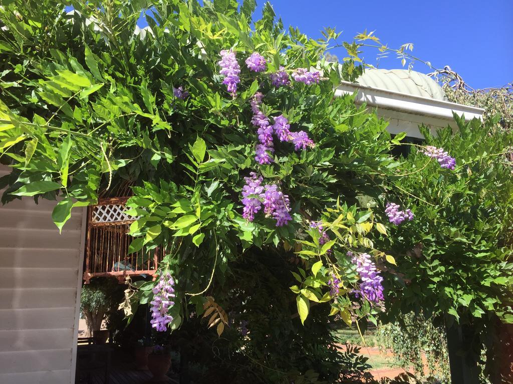 Yarck Birchwood Cottage מראה חיצוני תמונה