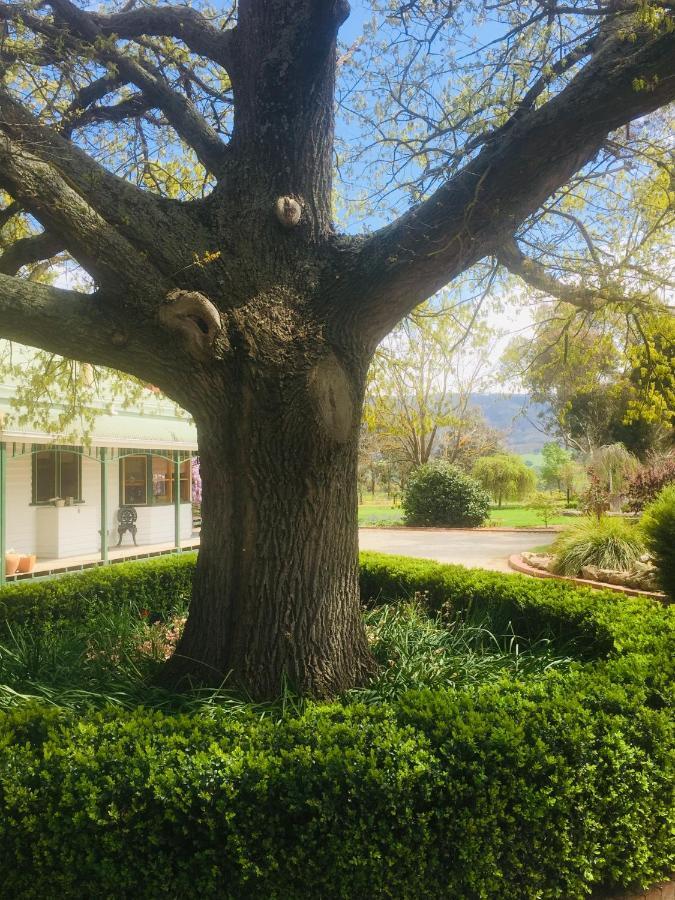 Yarck Birchwood Cottage מראה חיצוני תמונה